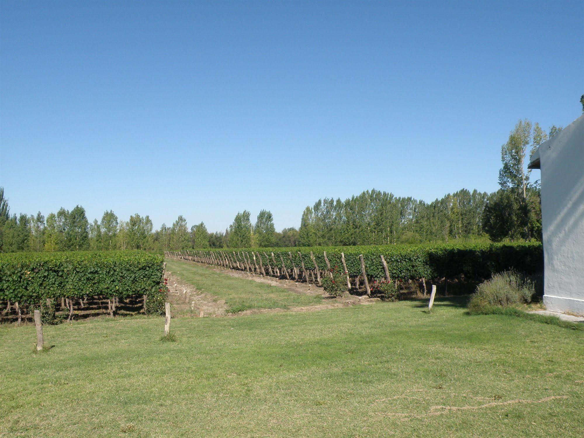 Colonia Las Rosas Postales Boutique Winery Hotel - Valle De Uco מראה חיצוני תמונה