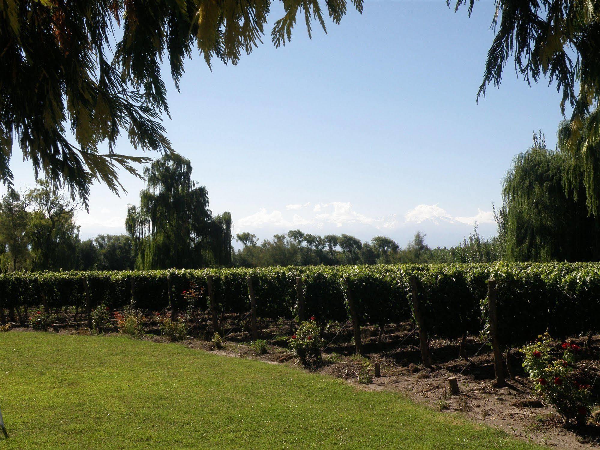 Colonia Las Rosas Postales Boutique Winery Hotel - Valle De Uco מראה חיצוני תמונה