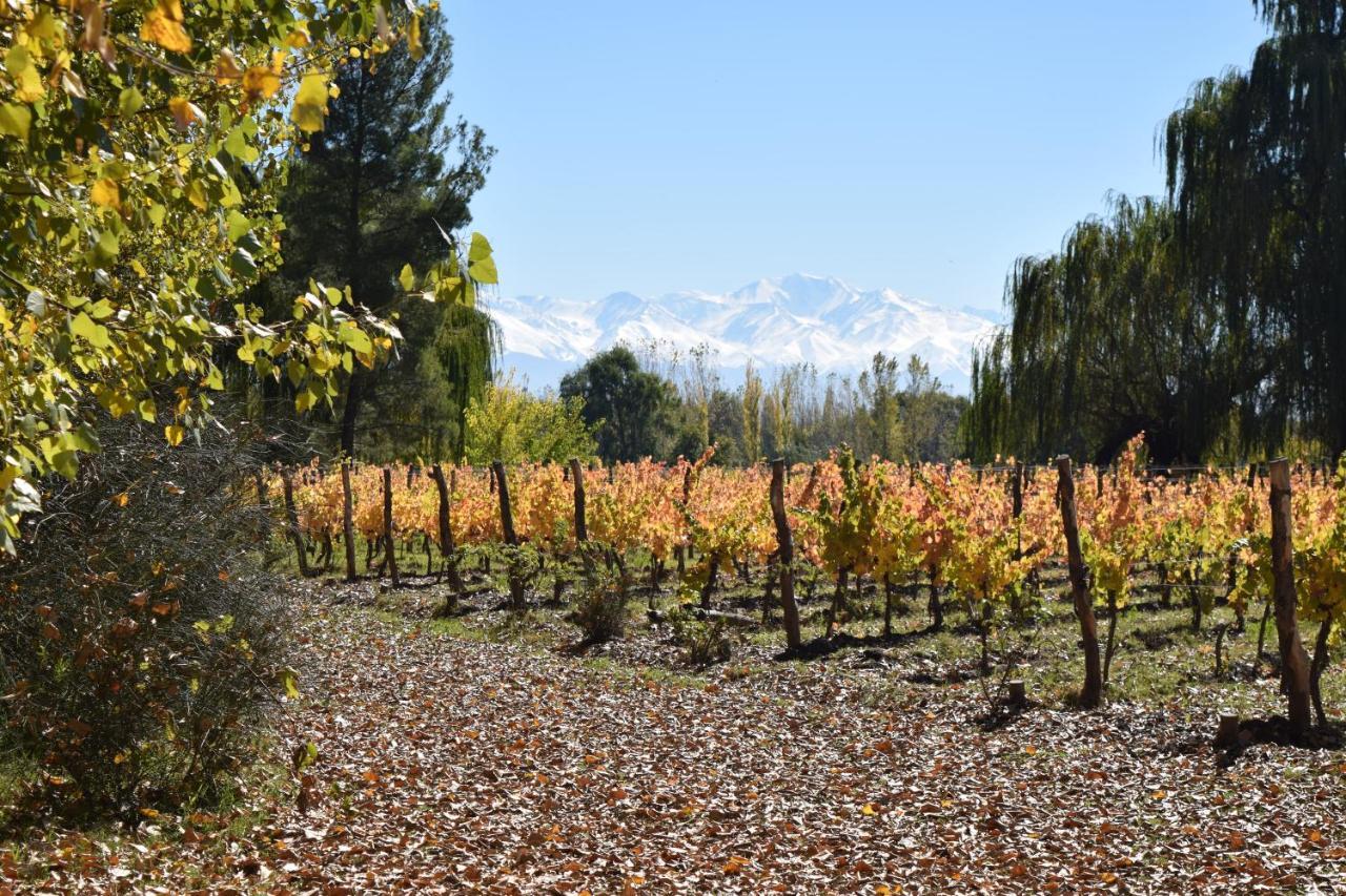 Colonia Las Rosas Postales Boutique Winery Hotel - Valle De Uco מראה חיצוני תמונה