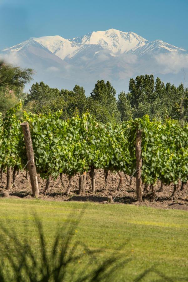 Colonia Las Rosas Postales Boutique Winery Hotel - Valle De Uco מראה חיצוני תמונה